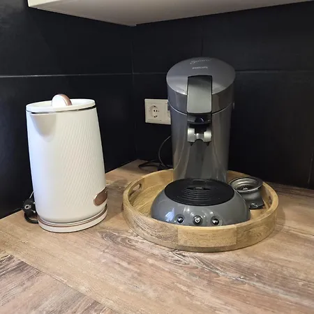 Litzi's Schwarzwald Mit Kamin ザスバッハヴァルデン