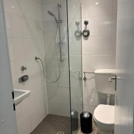 Litzi's Schwarzwald Mit Kamin Apartment *