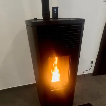 Litzi's Schwarzwald Mit Kamin Apartment *