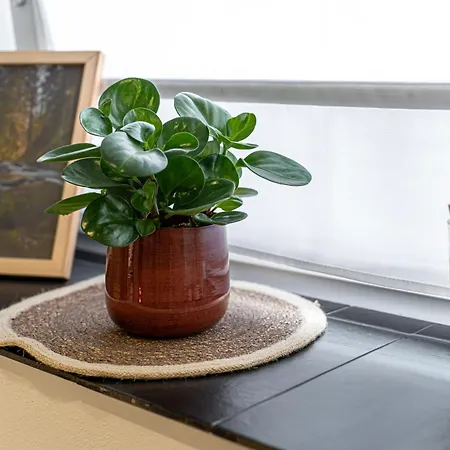 Litzi's Schwarzwald Mit Kamin Apartmán