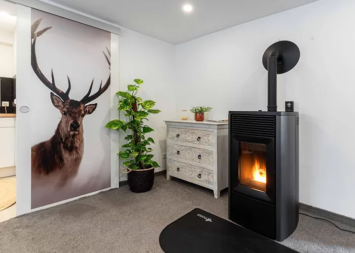 Litzi's Schwarzwald Mit Kamin アパート *