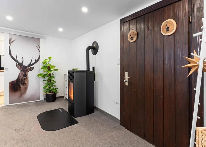 Litzi's Schwarzwald Mit Kamin