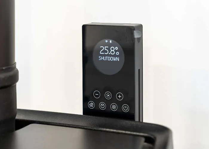 Litzi's Schwarzwald Mit Kamin