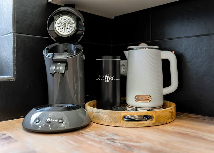 Litzi's Schwarzwald Mit Kamin * ザスバッハヴァルデン